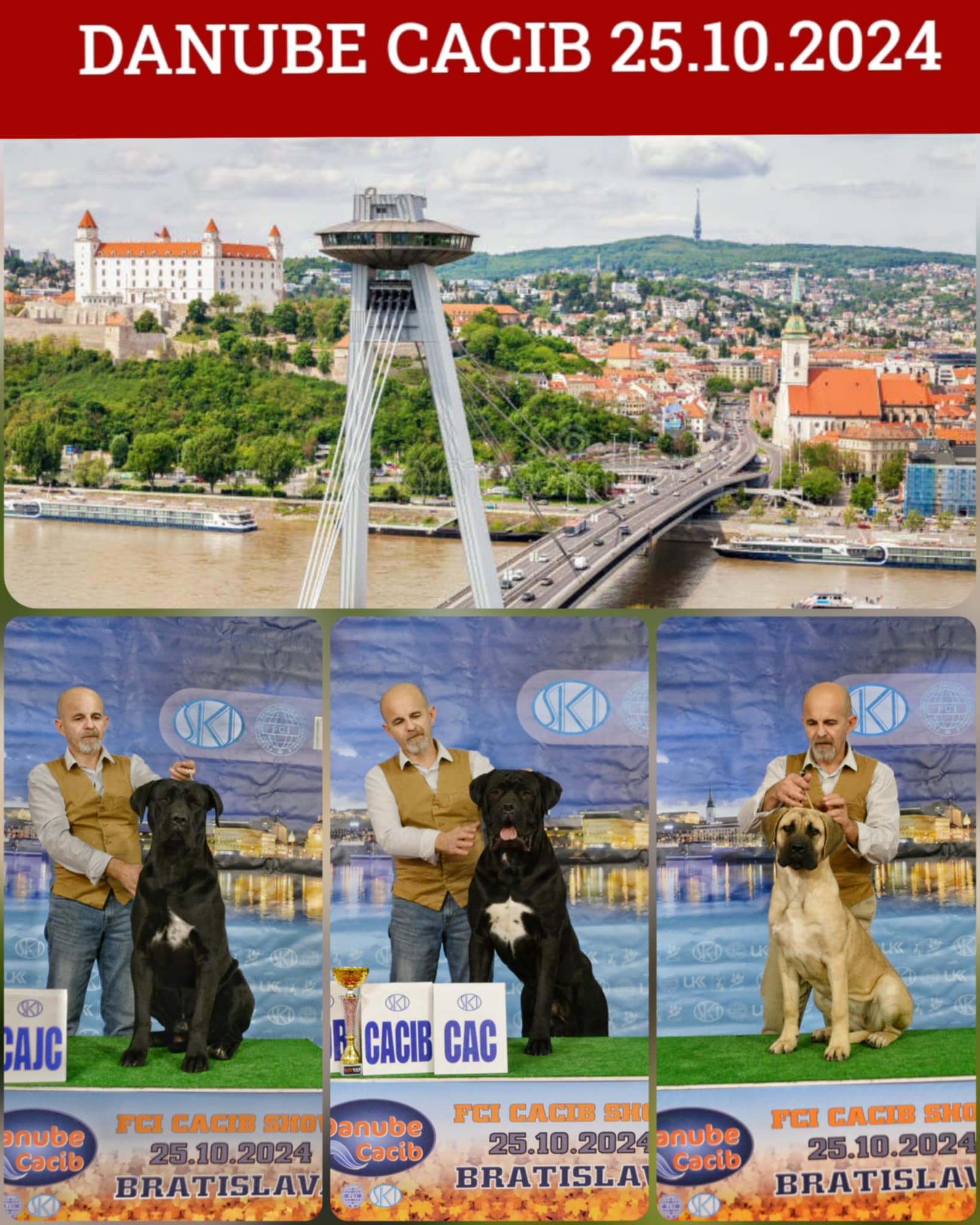 bratislava-cacib.jpg